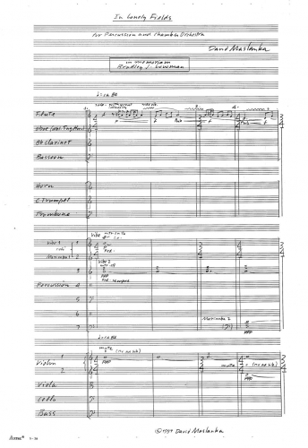 In Lonely Fields zoom_Page_03