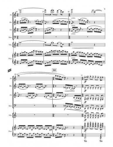 Little Concerto zoom_Page_09