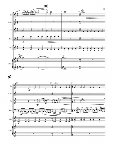 Little Concerto zoom_Page_17