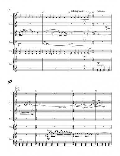 Little Concerto zoom_Page_18