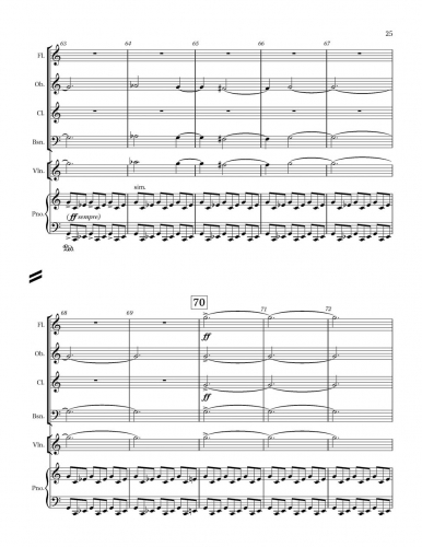 Little Concerto zoom_Page_25