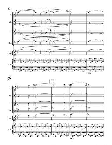 Little Concerto zoom_Page_26
