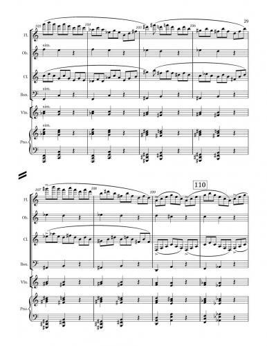 Little Concerto zoom_Page_29