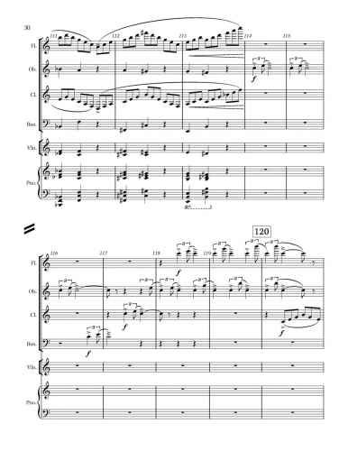 Little Concerto zoom_Page_30