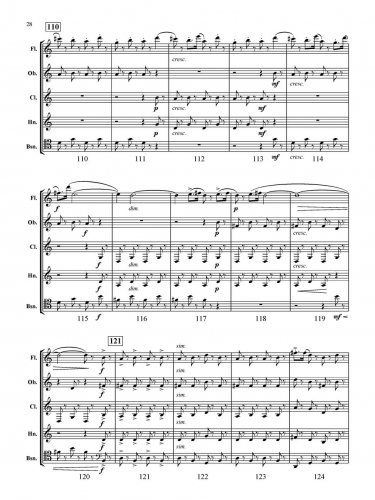 Quintet No 4 zoom_Page_28