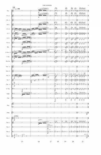 THE SEEKER - 00 TRANSPOSED SCORE_Page_13