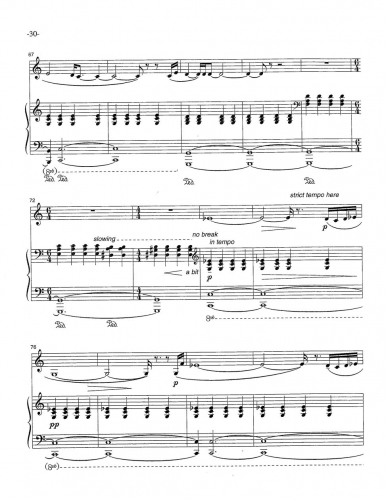 Sonata for Horn zoom_Page_31