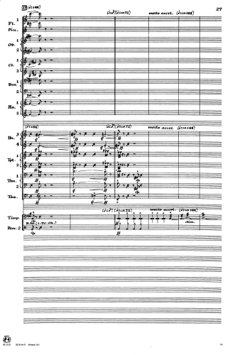 Symphony No 1 zoom_Page_029
