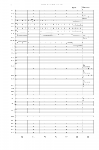 Symphony 10 Mvt 1 Score (33p)_Page_16