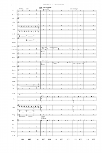Symphony 10 Mvt. 2 T_Score (15p)_Page_14