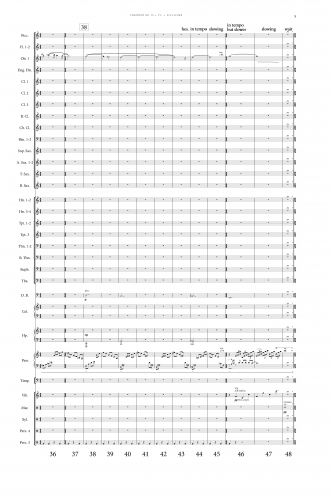 Symphony 10 Mvt. 4 Transposed Score (15p)_Page_05