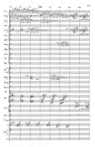 Symphony No 4 zoom_Page_029