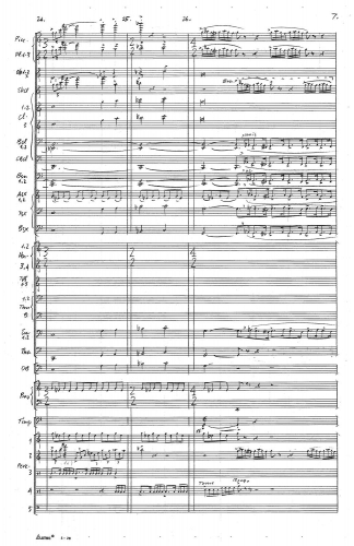Symphony no 5 zoom_Page_011
