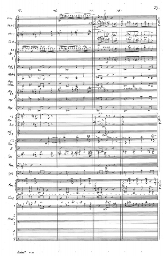 Symphony no 5 zoom_Page_027