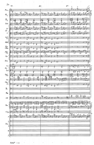 Symphony no 5 zoom_Page_028