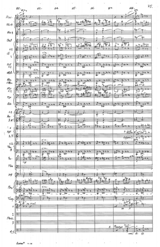 Symphony no 5 zoom_Page_029