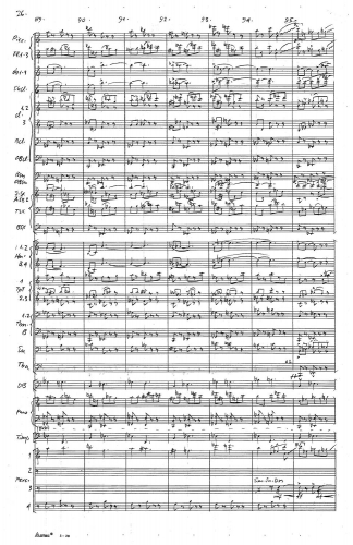 Symphony no 5 zoom_Page_030