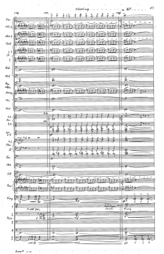 Symphony no 5 zoom_Page_051