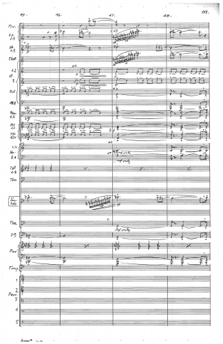Symphony no 5 zoom_Page_115