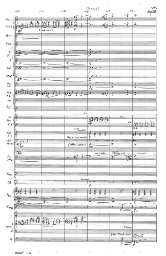 Symphony no 5 zoom_Page_133