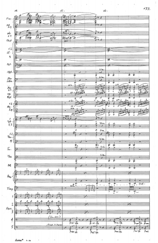 Symphony no 5 zoom_Page_141