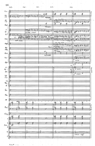 Symphony no 5 zoom_Page_188