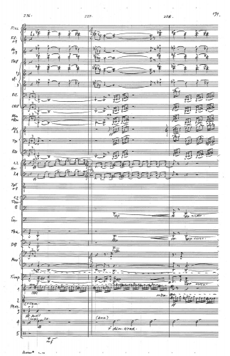 Symphony no 5 zoom_Page_195