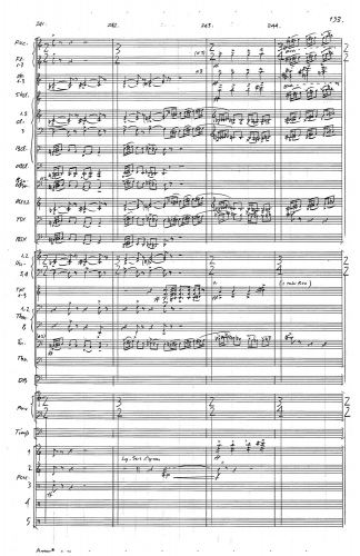 Symphony no 5 zoom_Page_197