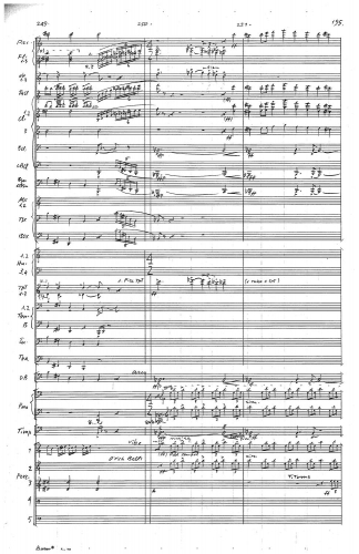 Symphony no 5 zoom_Page_199