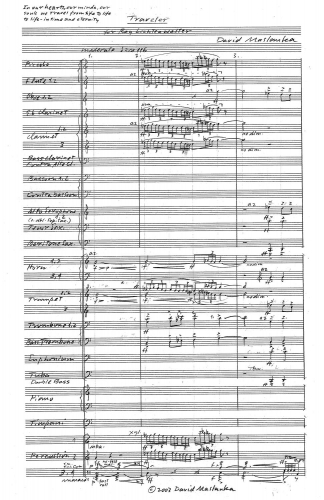 Traveler zoom_Page_01