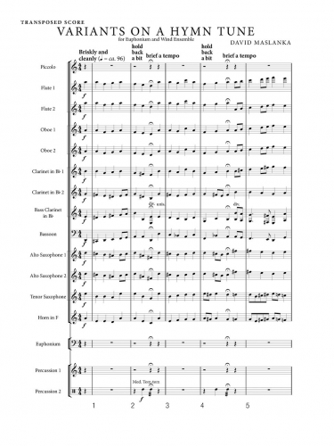 Variants on a Hymn Tune zoom_Page_05