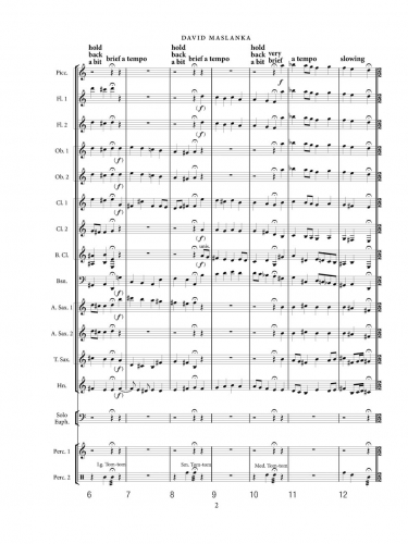 Variants on a Hymn Tune zoom_Page_06