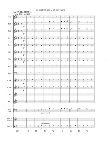 Variants on a Hymn Tune zoom_Page_11